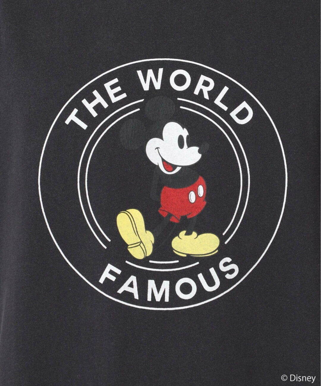 【2024年 6月下旬 発売】MICKEY MOUSE × JOURNAL STANDARD 別注 S/S Tシャツ (ジャーナルスタンダード ミッキーマウス Disney ディズニー)