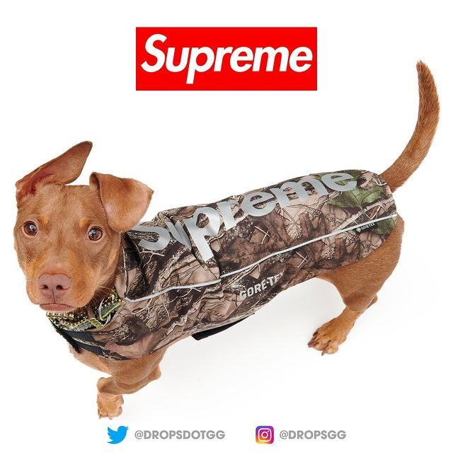 【SUPREME 2024 FW – シュプリーム 2024年 秋冬】国内 12/14 発売予定 – week 17に「Box Logo Hoodies & Beanies」「Supreme x Sorel Caribou Boots」が登場予定