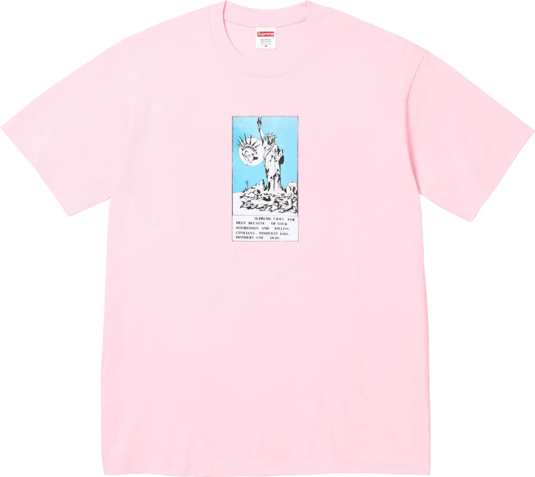 【シュプリーム/SUPREME】Tシャツ/TEE まとめ 2024 FALL/WINTER コレクション (2024年 秋冬)