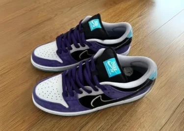 【2025年 夏 発売予定】Hayley Wilson × NIKE SB DUNK LOW PRO (ヘーリー・ウィルソン ナイキ ダンク ロー プロ) [HJ0513-500]