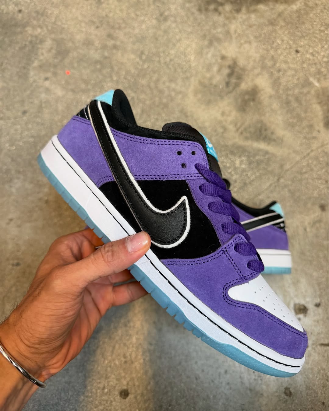 【2025年 4月 発売予定】Hayley Wilson × NIKE SB DUNK LOW PRO (ヘーリー・ウィルソン ナイキ ダンク ロー プロ) [HJ0513-500]