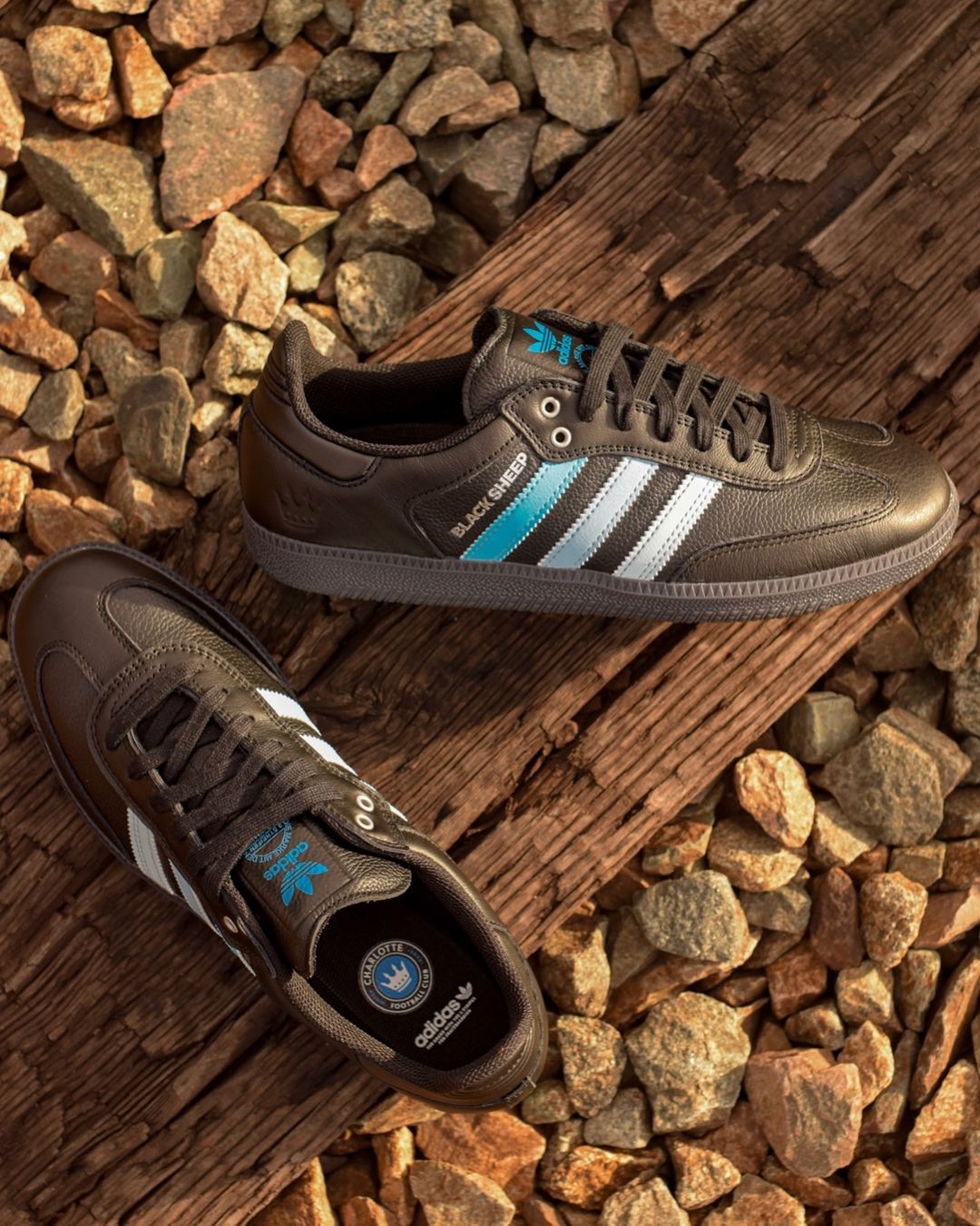 【国内 2024年 9/21 発売】Charlotte FC-CLTFC × Black Sheep Skate Shop × adidas SKATEBOARDING SAMBA ADV (シャーロットFC ブラック シープ スケートショップ アディダス オリジナルス サンバ) [JH9594]