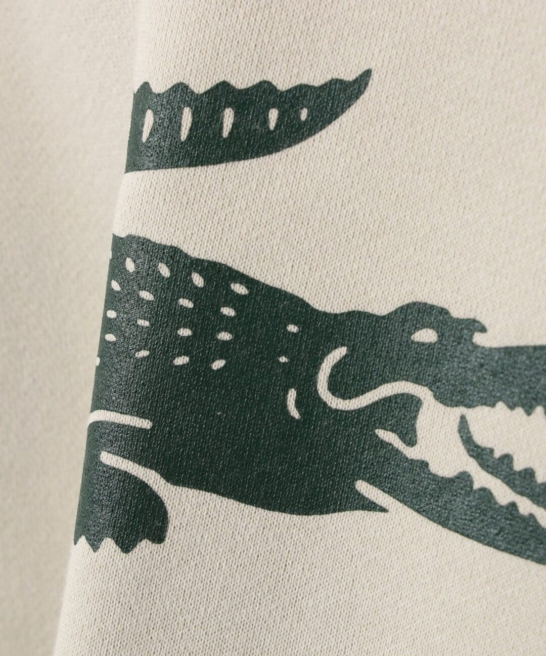 BEAMS【別注】LACOSTE / ロゴ スウェットが2024年 11月上旬 発売 (ビームス ラコステ)