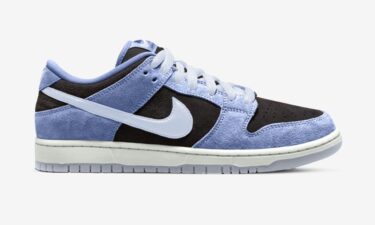 【2025年 4月 発売予定】NIKE SB DUNK LOW PRO “Aluminum/Black” (ナイキ SB ダンク ロー プロ “アルミニウム/ブラック”) [HF3063-400]