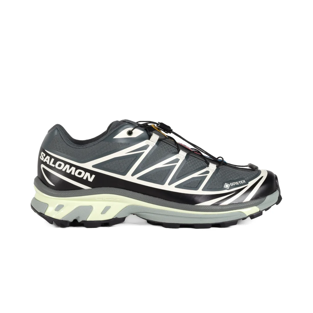 【2024年 10/9 発売】SALOMON XT-6 GORE-TEX GTX “URBAN CHIC/BLACK/LIME CREAM” (サロモン ゴアテックス) [L47581300]