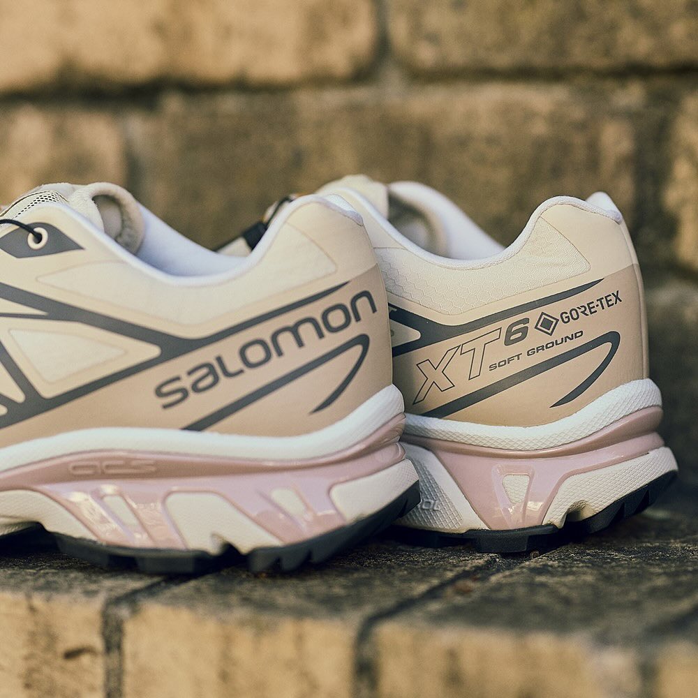 【2024年 10/9 発売】SALOMON XT-6 GORE-TEX GTX “Almond Milk/Feather Gray/Pale Mauve” (サロモン ゴアテックス) [L47581200]