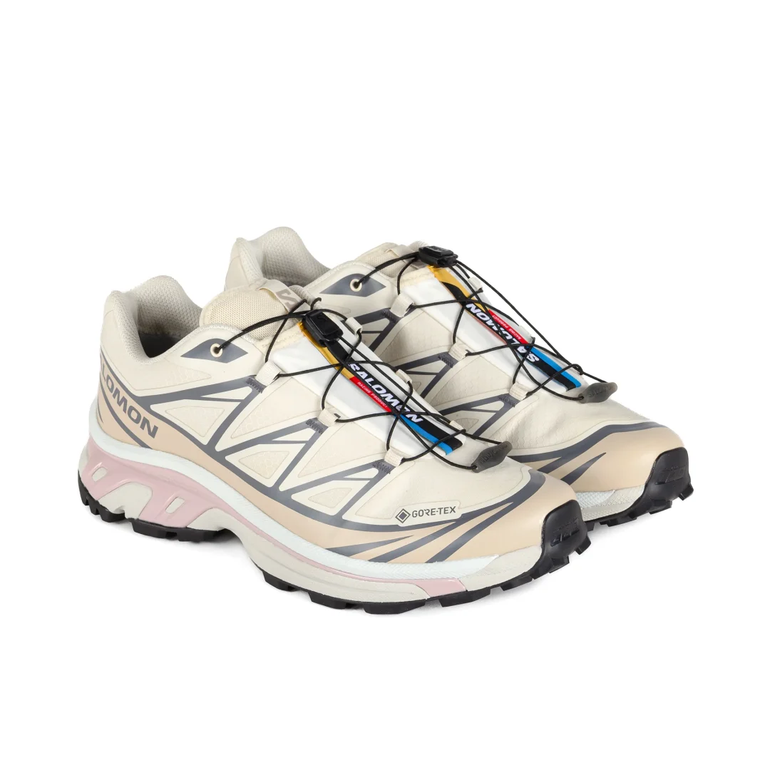 【2024年 10/9 発売】SALOMON XT-6 GORE-TEX GTX “Almond Milk/Feather Gray/Pale Mauve” (サロモン ゴアテックス) [L47581200]