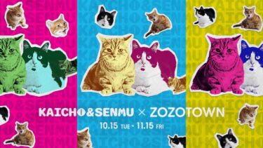 「さらば青春の光」の愛猫「会長と専務」× ZOZOTOWN コラボアイテムが2024年 10/15 発売 (ゾゾタウン)