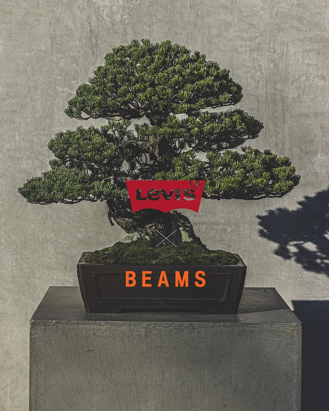 【2025年初売り】Levi’s × BEAMS コラボ “SUPER WIDE COLLECTION”新色が1/2 から発売 (リーバイス ビームス)