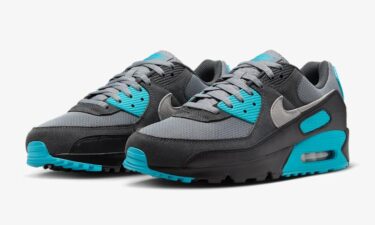 【2025年 3/3 発売】NIKE AIR MAX 90 “Cool Grey/Dusty Cactus” (ナイキ エア マックス 90 “クールグレー/ダスティカクタス”) [DM0029-013]