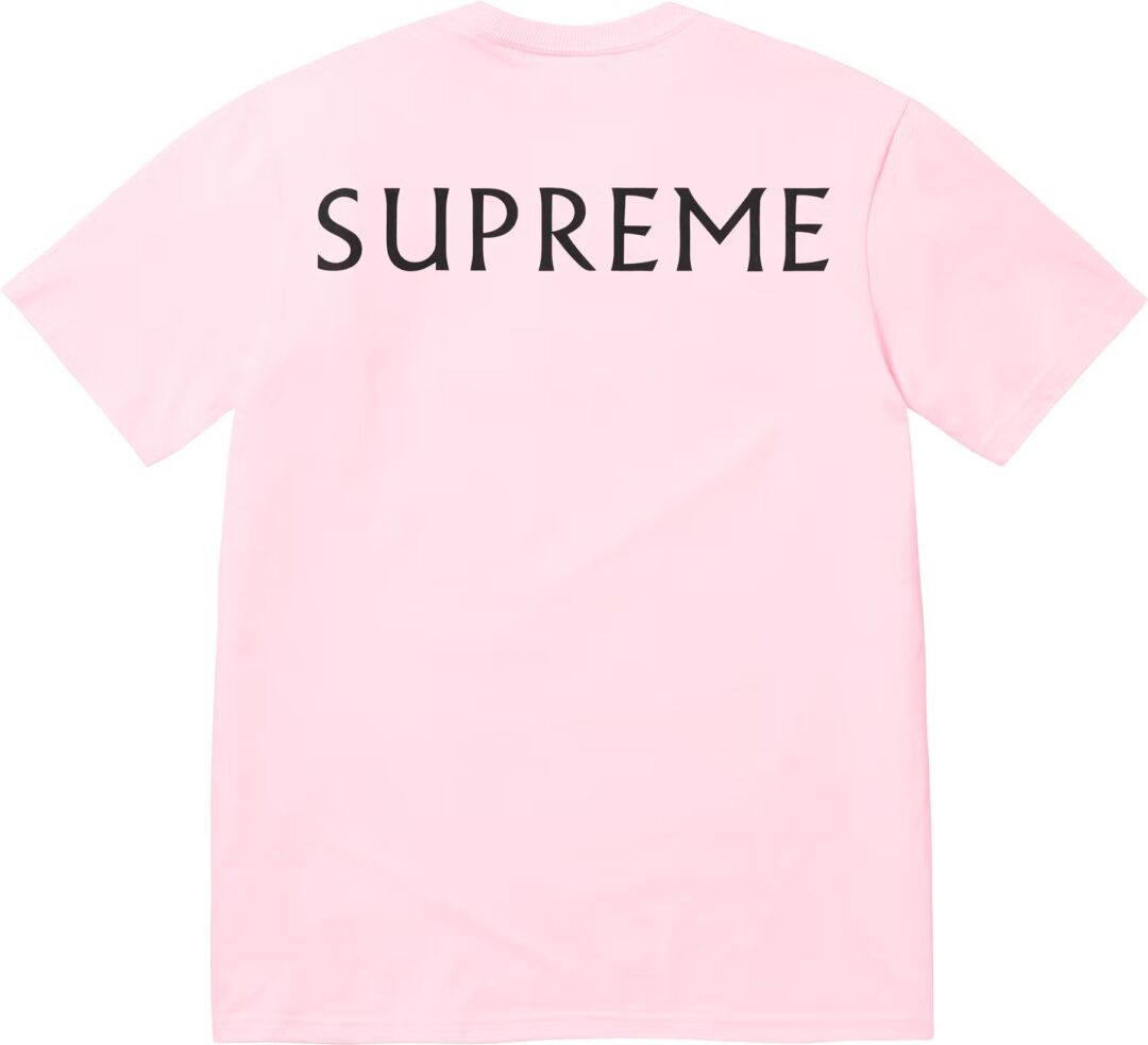 【シュプリーム/SUPREME】Tシャツ/TEE まとめ 2025 SPRING/SUMMER コレクション (2025年 春夏)